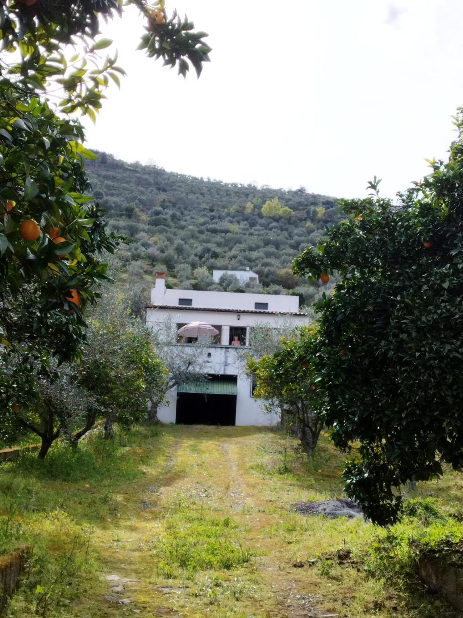 Villa Casa Do Rio Freixo de Espada à Cinta Exterior foto